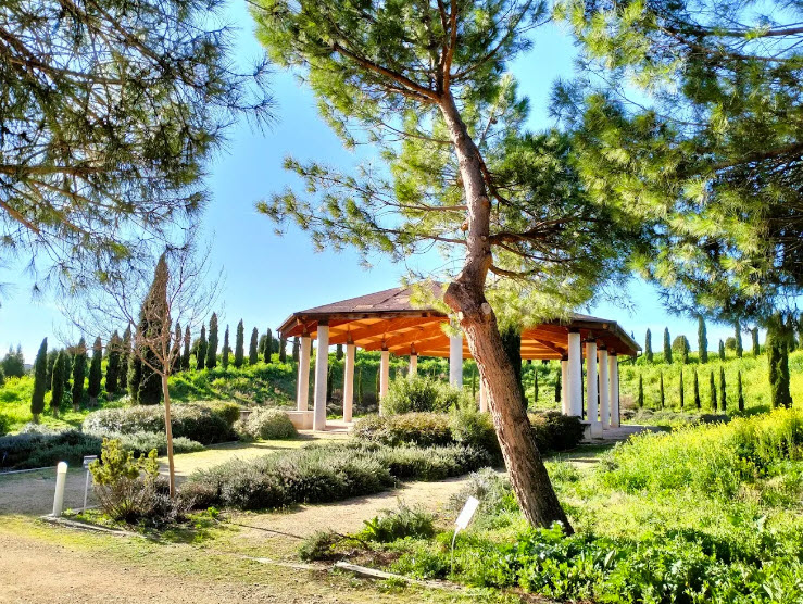 Royal Botanic Garden Juan Carlos I, Spain